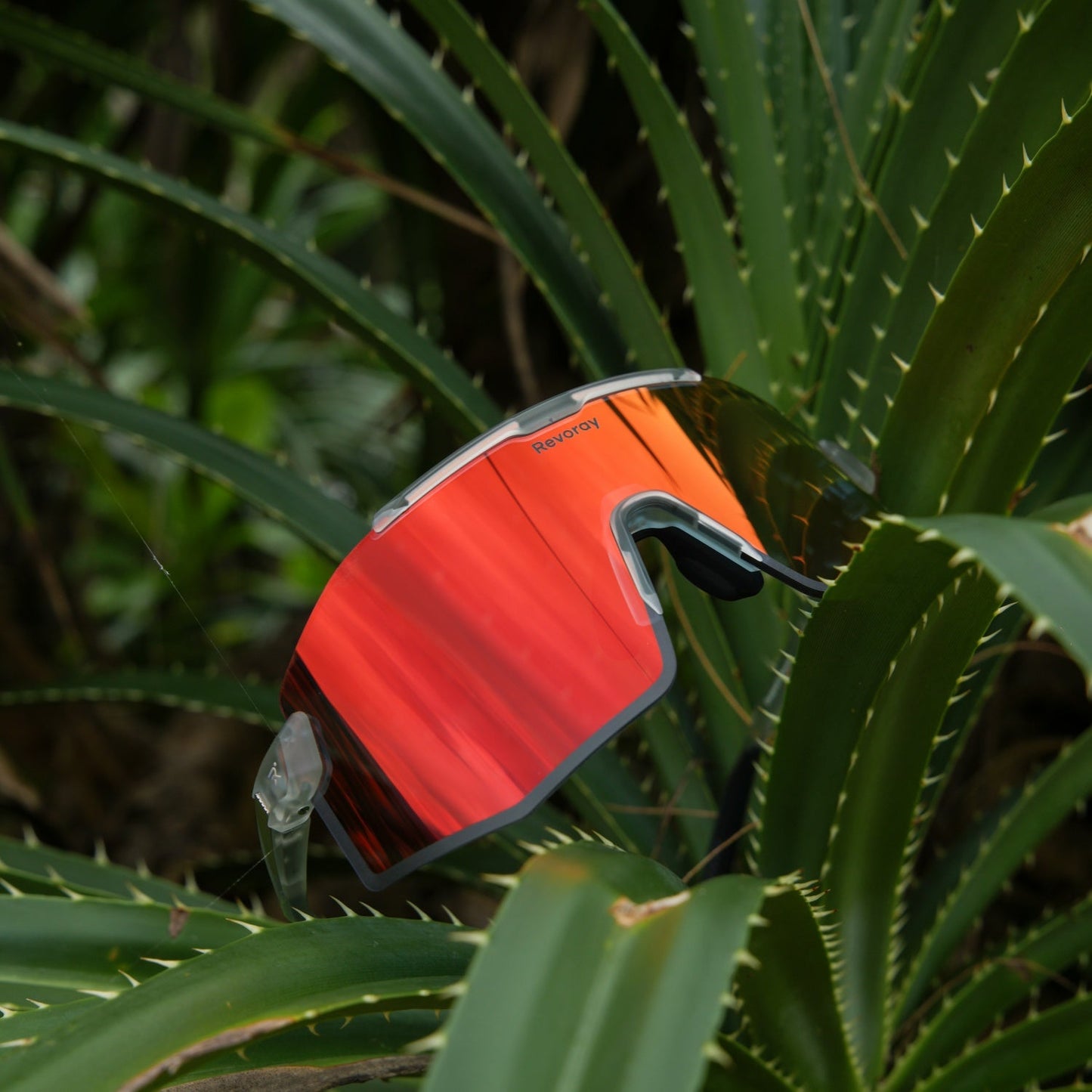 Lumo Premium Photochromic Cycling Sunglasses